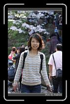 IMG_1914 * 600 x 966 * (287KB)