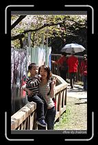 IMG_1925 * 600 x 966 * (289KB)