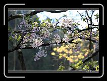 IMG_1932 * 900 x 644 * (290KB)