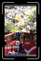 IMG_1937 * 600 x 966 * (285KB)