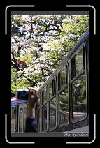 IMG_1941 * 600 x 966 * (286KB)