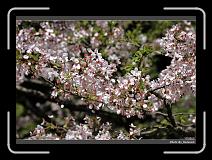 IMG_1945 * 900 x 644 * (295KB)