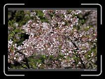 IMG_1946 * 900 x 644 * (288KB)