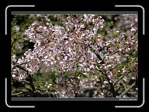 IMG_1948 * 900 x 644 * (291KB)