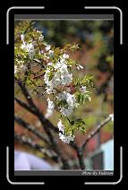 IMG_1956 * 600 x 966 * (265KB)