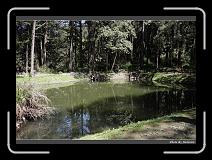 IMG_1959 * 900 x 644 * (294KB)