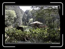 IMG_1966 * 900 x 644 * (296KB)