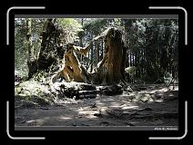 IMG_1969 * 900 x 644 * (294KB)