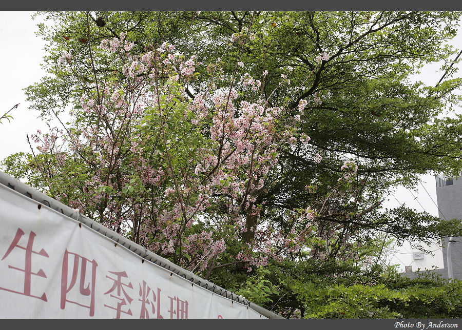下一張幻燈片