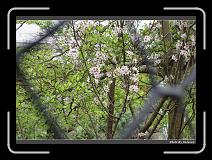 IMG_2089 * 900 x 644 * (296KB)