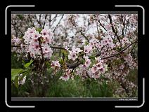 IMG_2094 * 900 x 644 * (286KB)