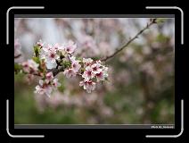 IMG_2096 * 900 x 644 * (287KB)