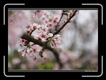 IMG_2099 * 900 x 644 * (273KB)