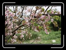 IMG_2100 * 900 x 644 * (296KB)