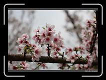 IMG_2101 * 900 x 644 * (254KB)