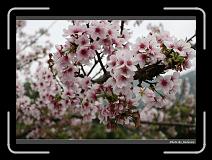 IMG_2104 * 900 x 644 * (299KB)