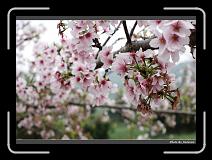 IMG_2106 * 900 x 644 * (291KB)
