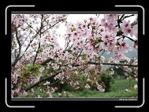 IMG_2107 * 900 x 644 * (280KB)