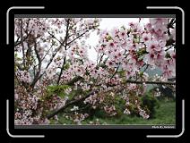 IMG_2108 * 900 x 644 * (294KB)