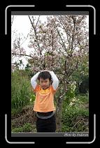 IMG_2111 * 600 x 966 * (298KB)