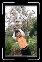 IMG_2114 * 600 x 966 * (278KB)