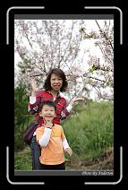 IMG_2115 * 600 x 966 * (295KB)