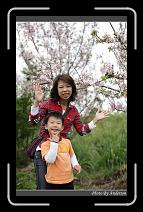 IMG_2116 * 600 x 966 * (297KB)