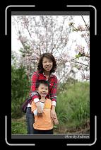 IMG_2117 * 600 x 966 * (293KB)