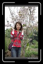IMG_2119 * 600 x 966 * (290KB)