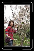 IMG_2121 * 600 x 966 * (298KB)
