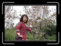 IMG_2122 * 900 x 644 * (284KB)