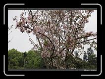 IMG_2125 * 900 x 644 * (293KB)