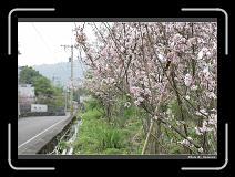 IMG_2129 * 900 x 644 * (284KB)