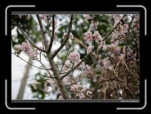 IMG_2136 * 900 x 644 * (293KB)