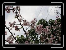 IMG_2137 * 900 x 644 * (296KB)