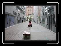 IMG_2162 * 900 x 644 * (299KB)