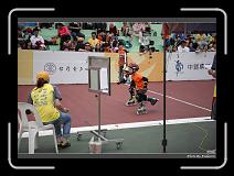 IMG_2343 * 900 x 644 * (273KB)