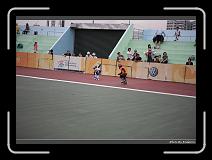 IMG_2353 * 900 x 644 * (289KB)
