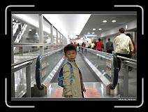 IMG_2367 * 900 x 644 * (292KB)