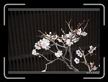 IMG_2426 * 900 x 644 * (284KB)