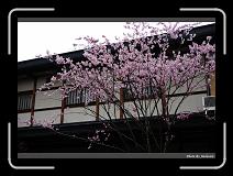 IMG_2429 * 900 x 644 * (288KB)