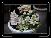 IMG_2432 * 900 x 644 * (281KB)
