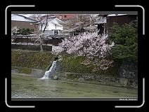 IMG_2462 * 900 x 644 * (297KB)