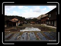 IMG_2484 * 900 x 644 * (279KB)