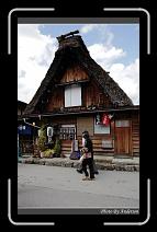 IMG_2485 * 600 x 966 * (273KB)
