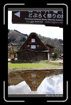 IMG_2489 * 600 x 966 * (285KB)