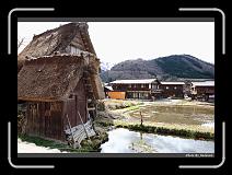 IMG_2513 * 900 x 644 * (289KB)