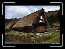 IMG_2516 * 900 x 644 * (290KB)