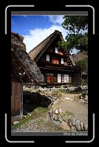IMG_2532 * 600 x 966 * (281KB)