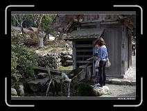 IMG_2533 * 900 x 644 * (290KB)
